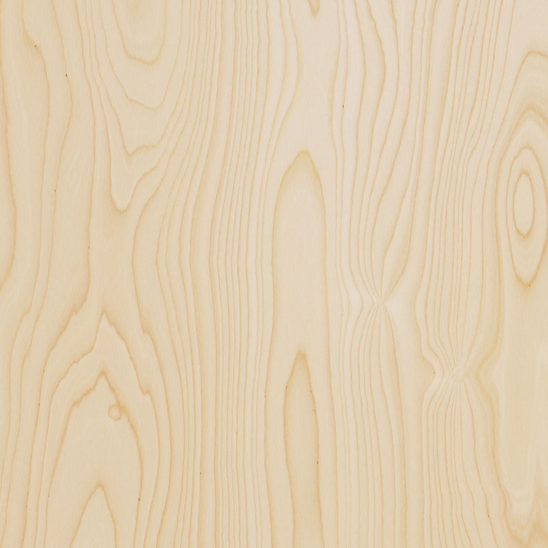Birch Plywood