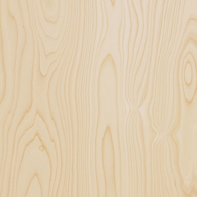 Birch Plywood
