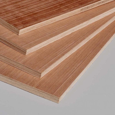 Eucalyptus Plywood
