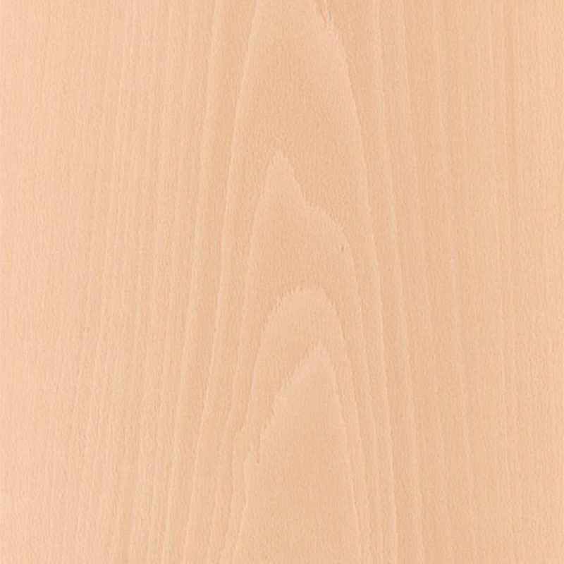 Beech Plywood
